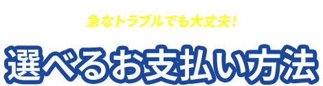 急なトラブルでも大丈夫！選べるお支払い方法